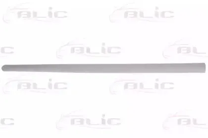 5703-04-9524575P BLIC Облицовка / защитная накладка, дверь