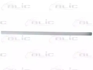 5703-04-9539575P BLIC Облицовка / защитная накладка, дверь