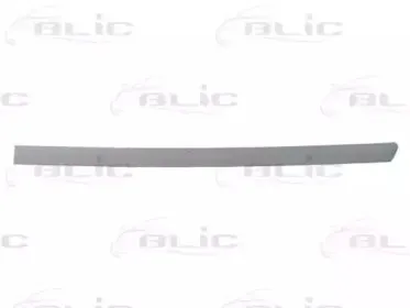 5703-04-9539577P BLIC Облицовка / защитная накладка, дверь