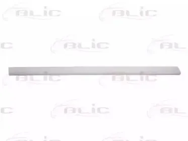 5703-04-9539578P BLIC Облицовка / защитная накладка, дверь