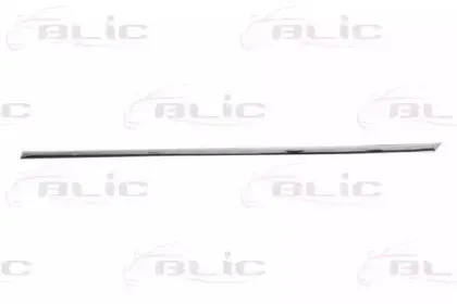 5703-04-9540573CP BLIC Облицовка / защитная накладка, дверь