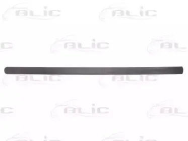 5703-04-9545572P BLIC Облицовка / защитная накладка, дверь