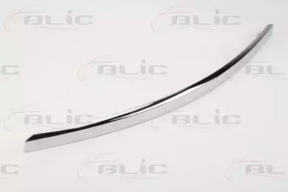 5703-05-0031921P BLIC Облицовка / защитная накладка, буфер