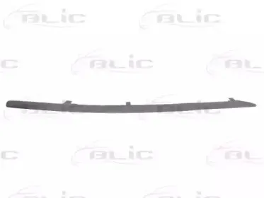 5703-05-0031923P BLIC Облицовка / защитная накладка, буфер