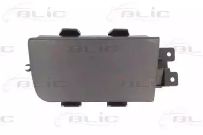 5703-05-0057924P BLIC Покрытие, фара