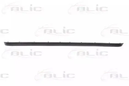 5703-05-0061970P BLIC Облицовка / защитная накладка, буфер