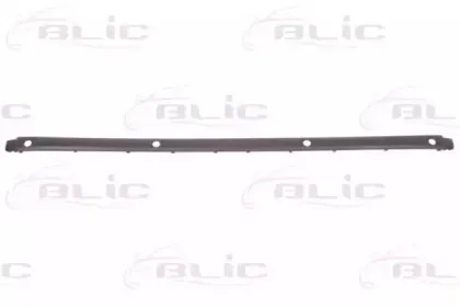 5703-05-0061975P BLIC Облицовка / защитная накладка, буфер