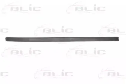 5703-05-0061977P BLIC Облицовка / защитная накладка, буфер