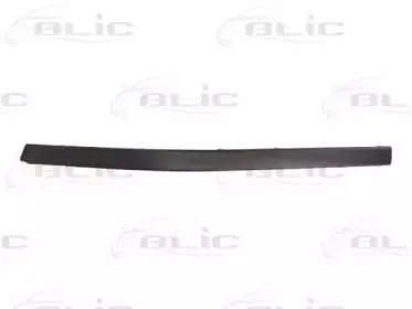 5703-05-0065921P BLIC Облицовка / защитная накладка, буфер