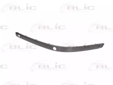 5703-05-0065927PP BLIC Облицовка / защитная накладка, буфер