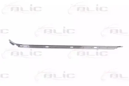 5703-05-0065971P BLIC Облицовка / защитная накладка, буфер