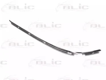 5703-05-0065972P BLIC Облицовка / защитная накладка, буфер