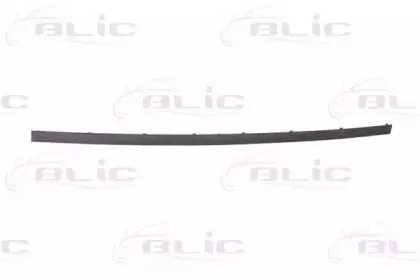 5703-05-0065975P BLIC Облицовка / защитная накладка, буфер