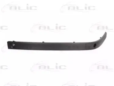 5703-05-0075926P BLIC Облицовка / защитная накладка, буфер