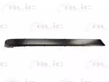 5703-05-0075973P BLIC Облицовка / защитная накладка, буфер