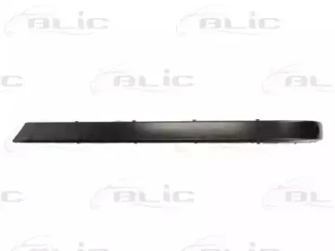 5703-05-0075974P BLIC Облицовка / защитная накладка, буфер