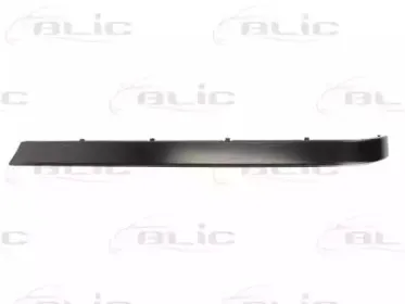 5703-05-0075976P BLIC Облицовка / защитная накладка, буфер