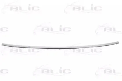 5703-05-0075977P BLIC Облицовка / защитная накладка, буфер