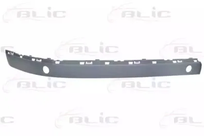 5703050076920AP BLIC Облицовка / защитная накладка, буфер