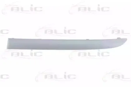 5703050085921Q BLIC Облицовка / защитная накладка, буфер