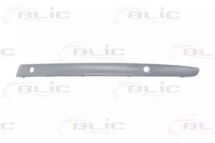 5703050085925Q BLIC Облицовка / защитная накладка, буфер