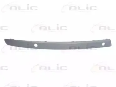 5703-05-0085926P BLIC Облицовка / защитная накладка, буфер