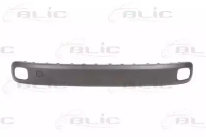 5703-05-2009970P BLIC Облицовка / защитная накладка, буфер