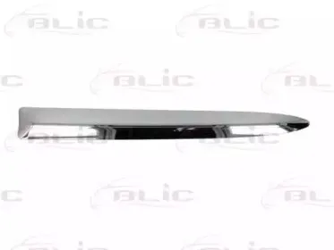 5703-05-2013923P BLIC Облицовка / защитная накладка, буфер