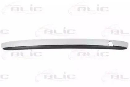 5703-05-2013970Q BLIC Облицовка / защитная накладка, буфер