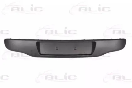 5703-05-2019970P BLIC Облицовка / защитная накладка, буфер