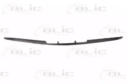 5703-05-2023925Q BLIC Облицовка / защитная накладка, буфер