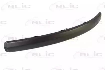 5703-05-2555923P BLIC Облицовка / защитная накладка, буфер