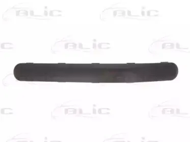 5703-05-2576972P BLIC Облицовка / защитная накладка, буфер