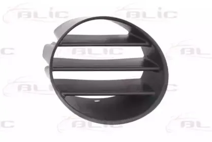 5703-05-3204921P BLIC Покрытие, фара