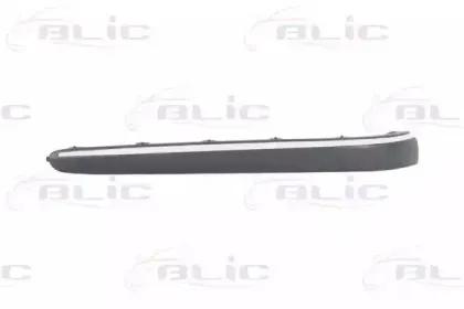 5703-05-3528971P BLIC Облицовка / защитная накладка, буфер