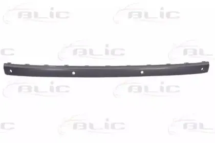 5703-05-3528973P BLIC Облицовка / защитная накладка, буфер