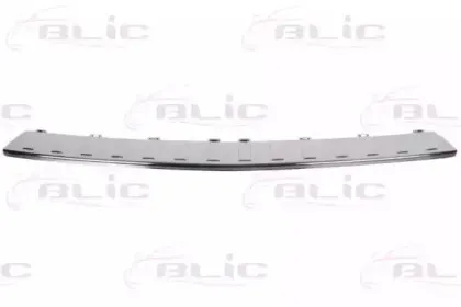 5703-05-3580970P BLIC Облицовка / защитная накладка, буфер