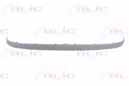 5703-05-5507971P BLIC Облицовка / защитная накладка, буфер