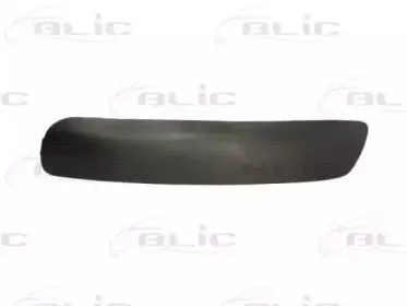 5703-05-5514972P BLIC Облицовка / защитная накладка, буфер