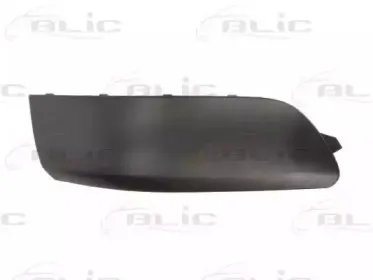 5703-05-5514975P BLIC Облицовка / защитная накладка, буфер