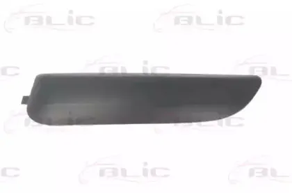 5703055519923P BLIC Облицовка / защитная накладка, буфер