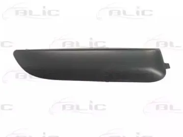 5703-05-5519926P BLIC Облицовка / защитная накладка, буфер