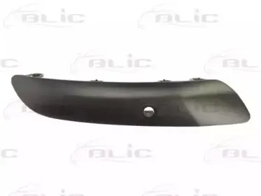 5703-05-5519973P BLIC Облицовка / защитная накладка, буфер