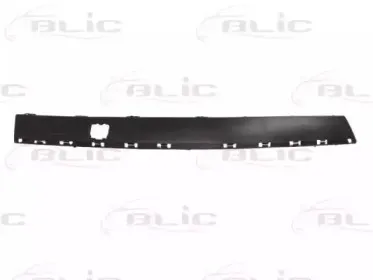 5703-05-5536924P BLIC Облицовка / защитная накладка, буфер