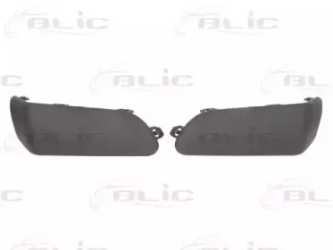 5703-05-6006970P BLIC Облицовка / защитная накладка, буфер