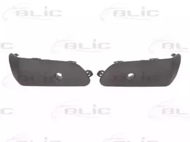 5703-05-6006971P BLIC Облицовка / защитная накладка, буфер