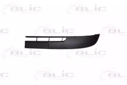 5703-05-6011921P BLIC Облицовка / защитная накладка, буфер