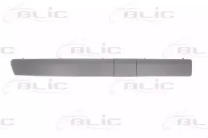 5703-05-6033916P BLIC Облицовка / защитная накладка, буфер