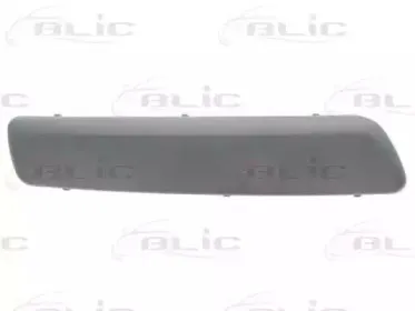 5703-05-6033971P BLIC Облицовка / защитная накладка, буфер