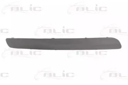 5703057514924Q BLIC Облицовка / защитная накладка, буфер